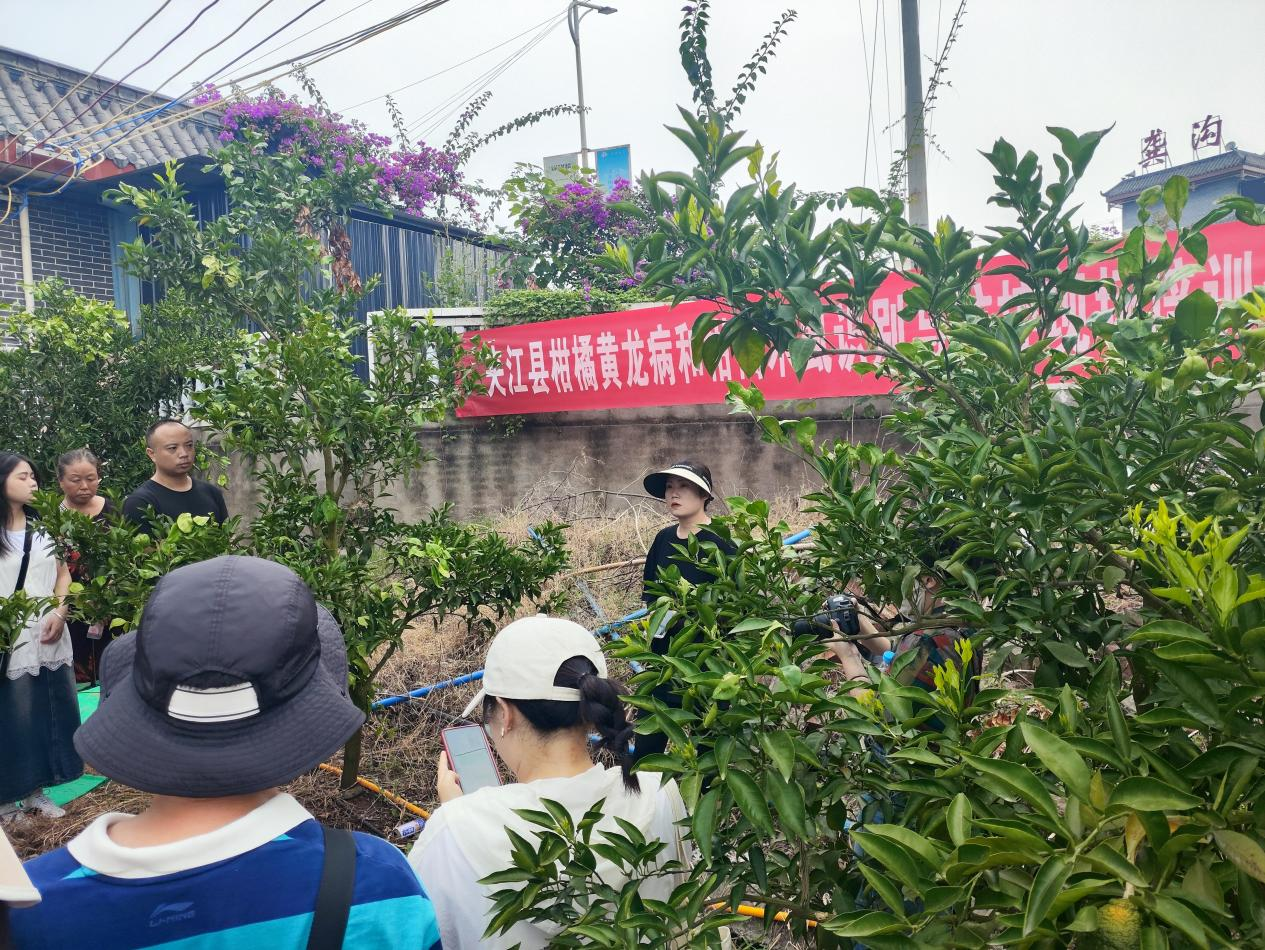 圖片1